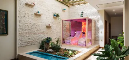 Biosauna 